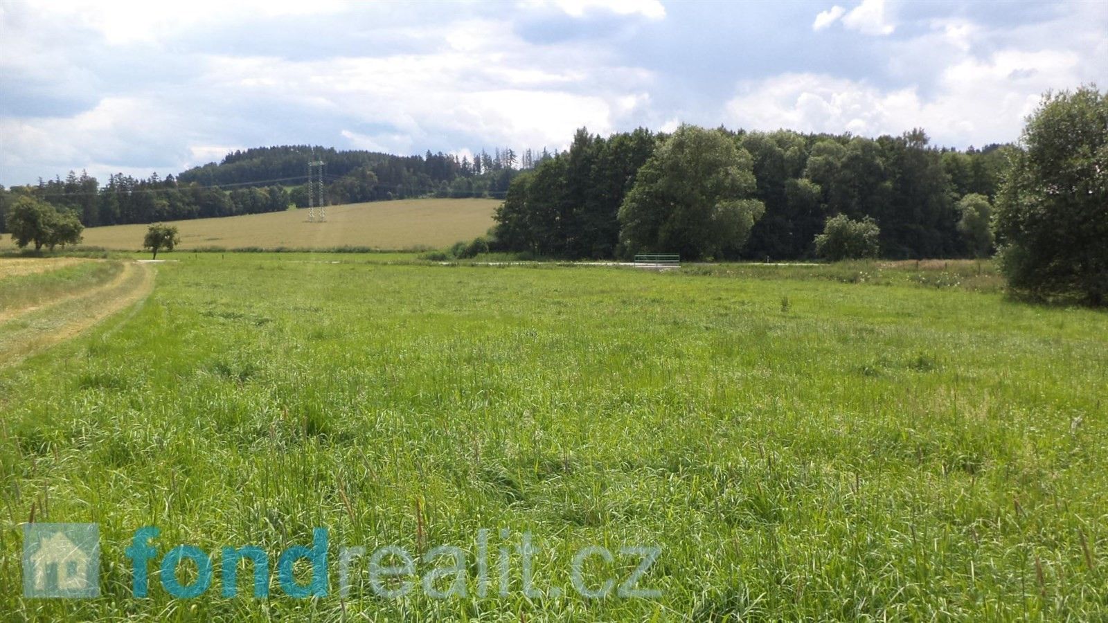 Zemědělské pozemky, Vepříkov, 6 045 m²