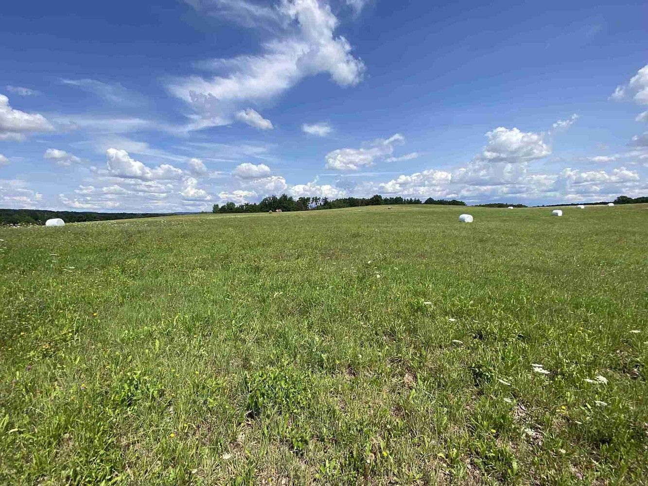 Prodej zemědělský pozemek - Lhenice - Hrbov, okres Prachatice, Jihočeský kraj - 5