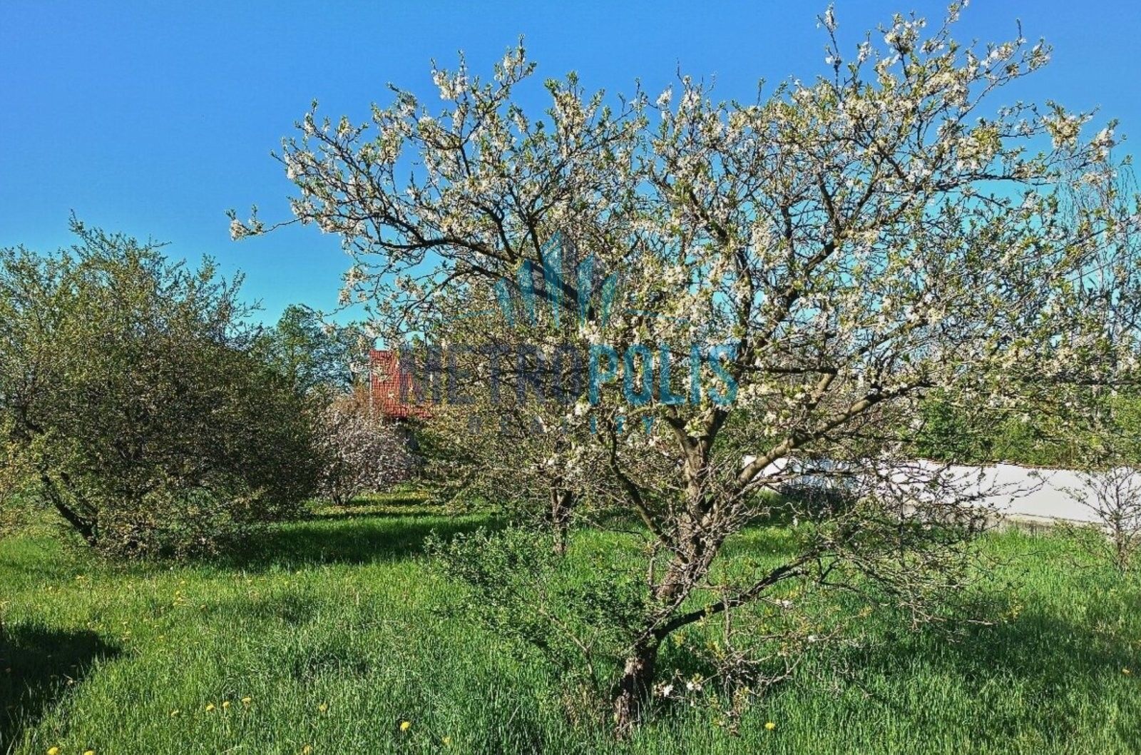 Prodej pozemek pro bydlení - Ouběnice, 511 m²