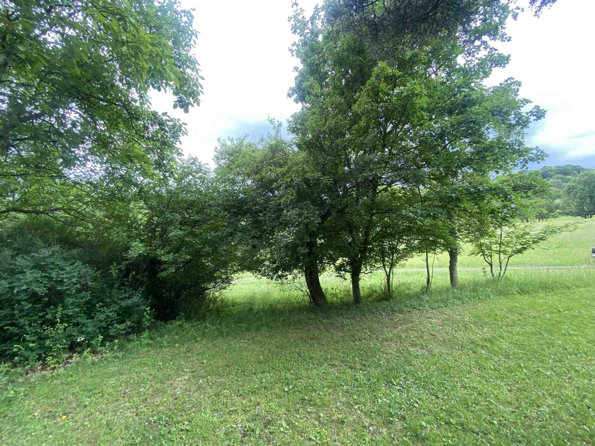 Ostatní, Třebívlice Skalice, 343 m² - 1