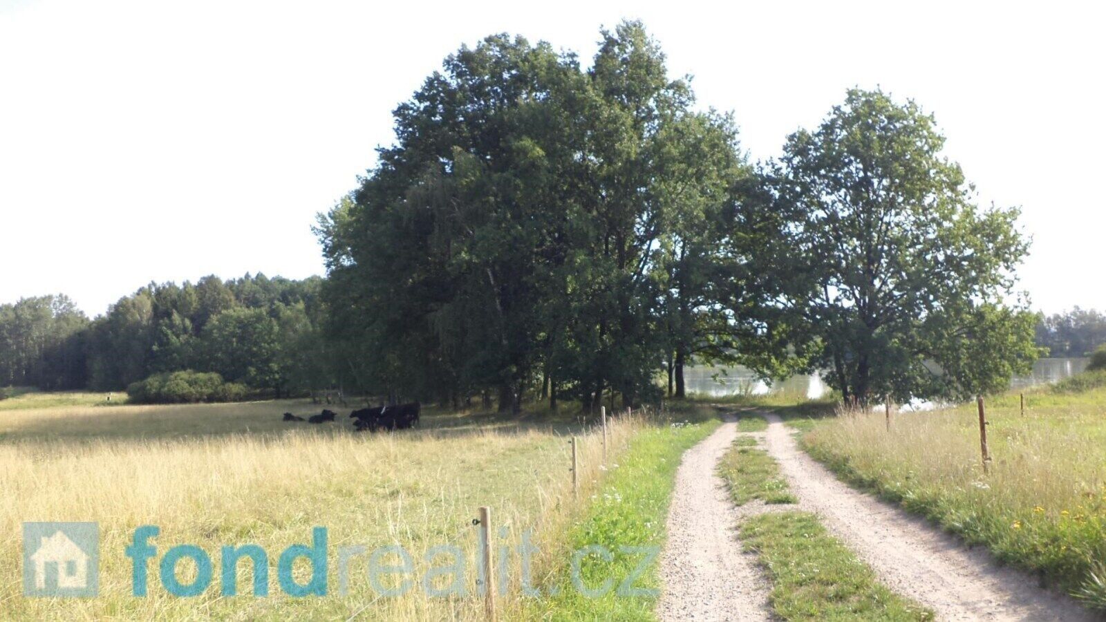 Prodej pozemek - Mladějovice, Čejetice, 3 m²