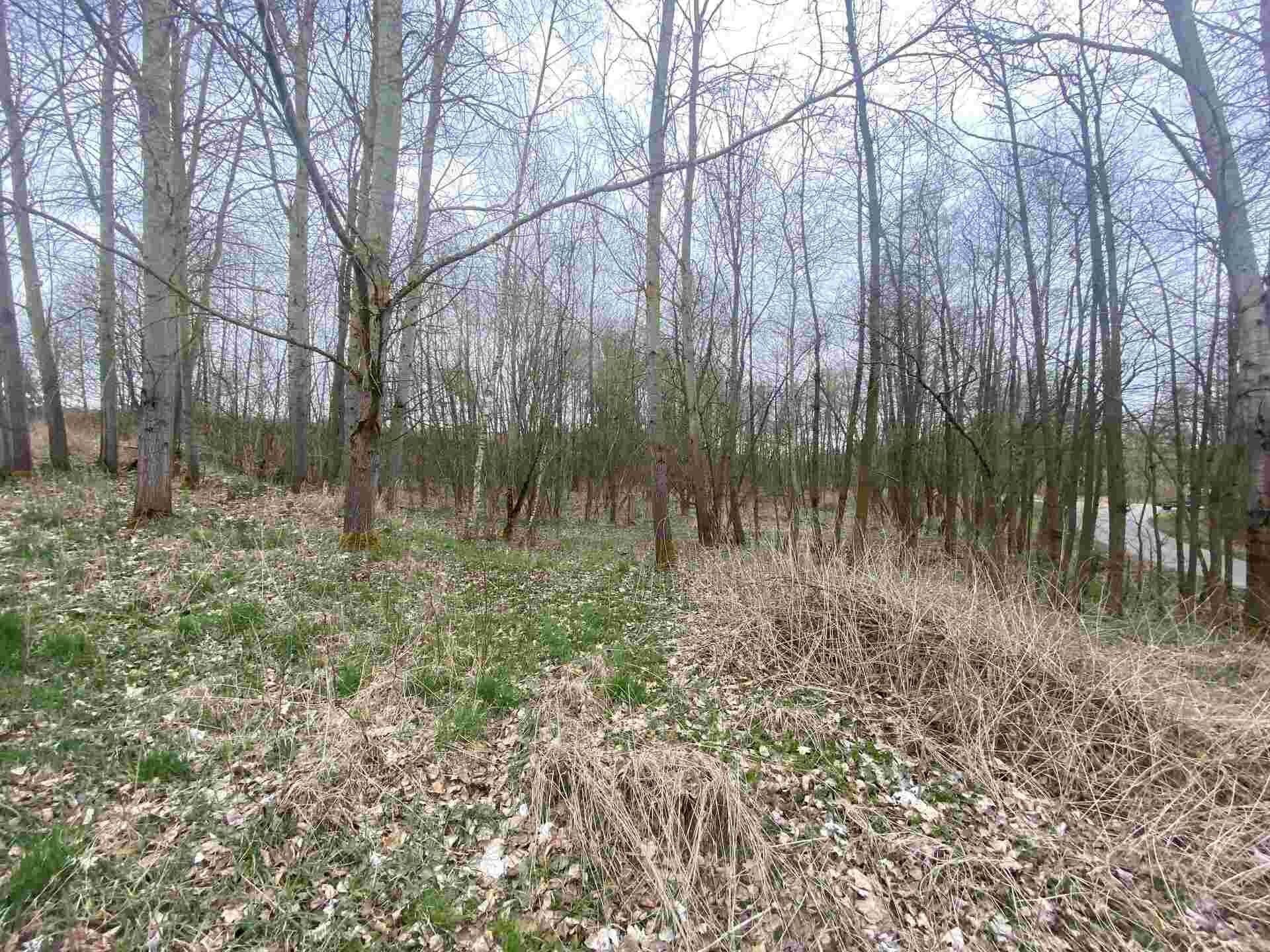 Prodej zemědělský pozemek - Žinkovy, 15 m²