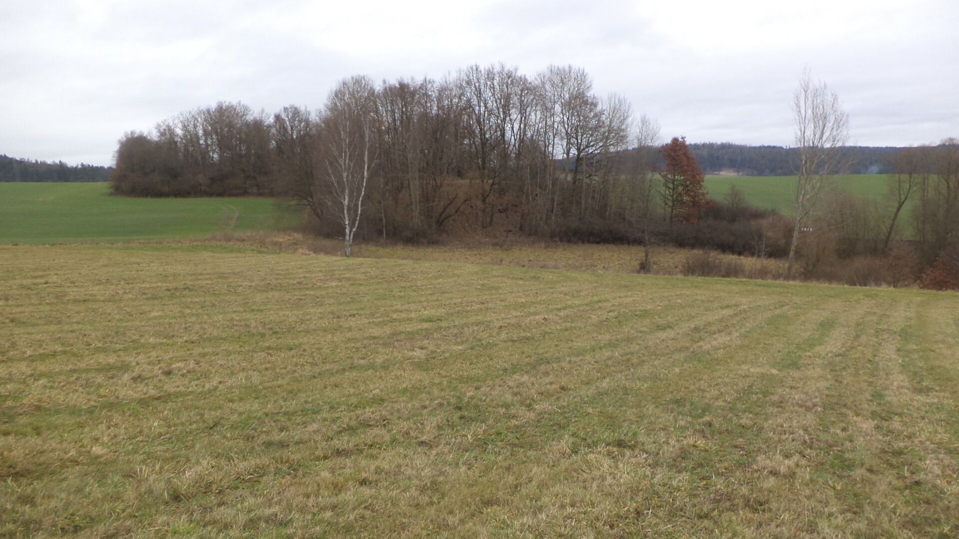 Zemědělské pozemky, Srby, 19 m²