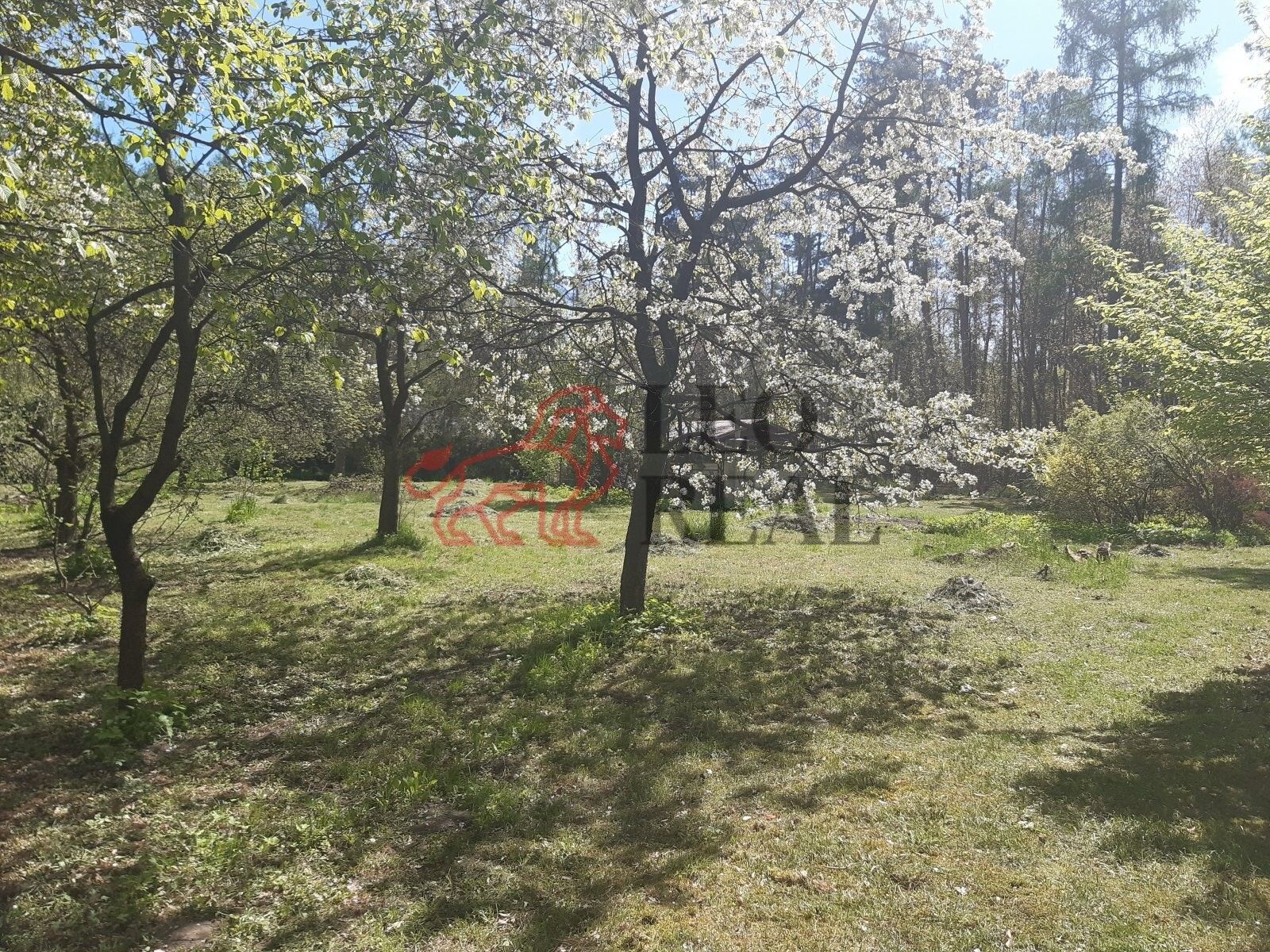 Zahrady, Masarykovo nám., Lázně Bohdaneč, 1 923 m²