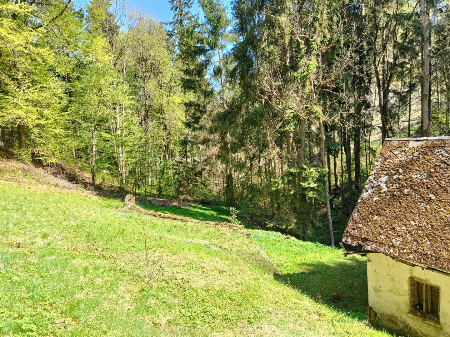 Pozemek pro bydlení, 3 282 m²