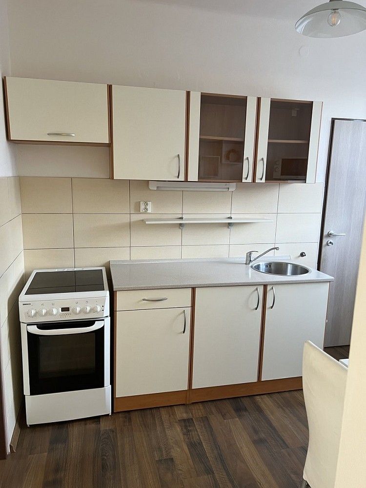 3+1, U Prazdroje, Plzeň - Východní Předměstí, 69 m² - 1