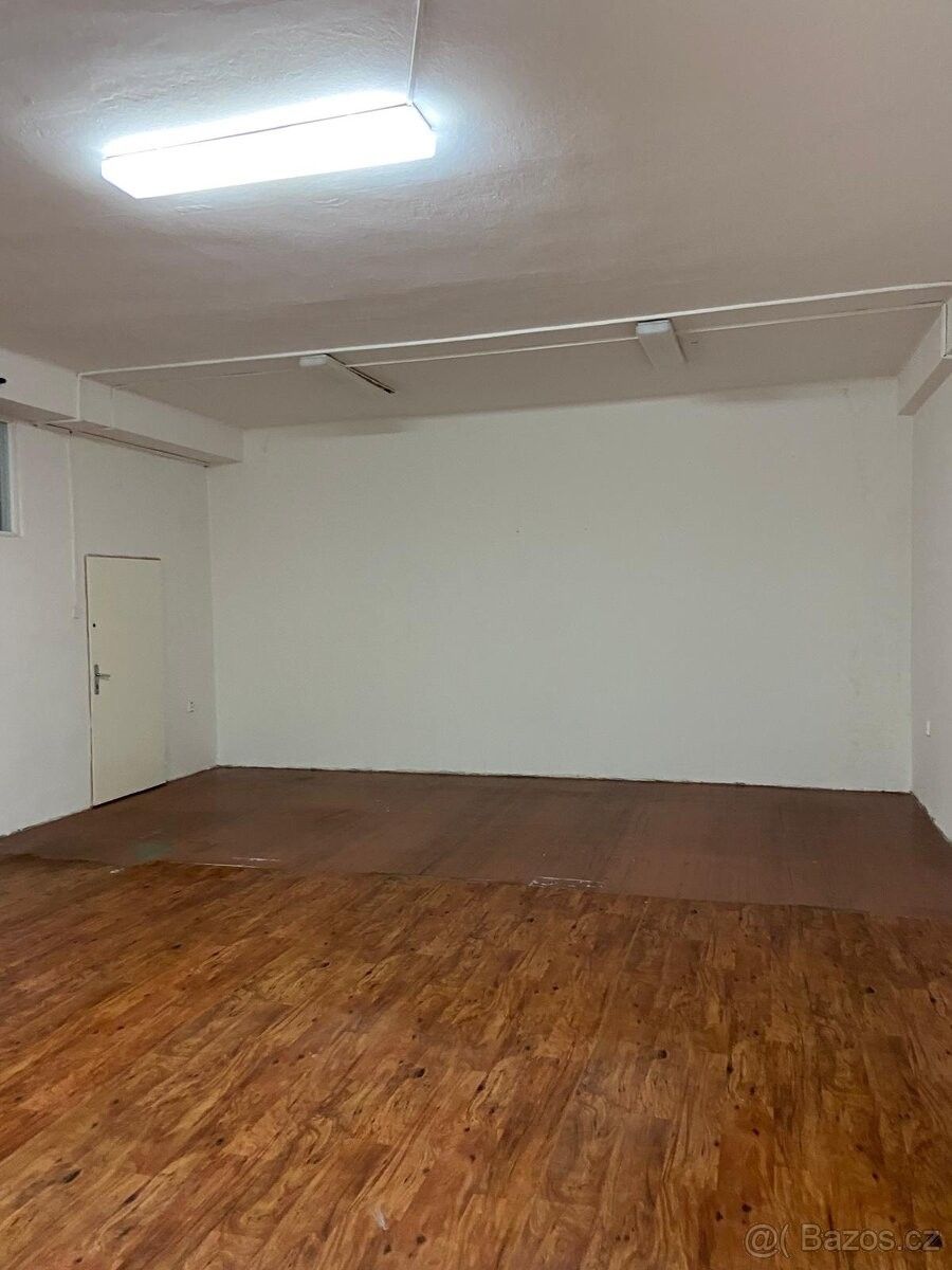 Obchodní prostory, Studénka, 742 13