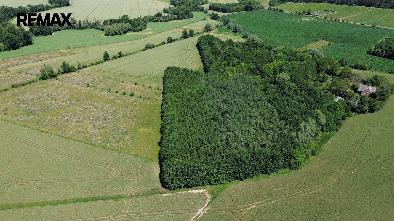 Prodej les - Vinaře, okres Kutná Hora, Středočeský kraj - 2