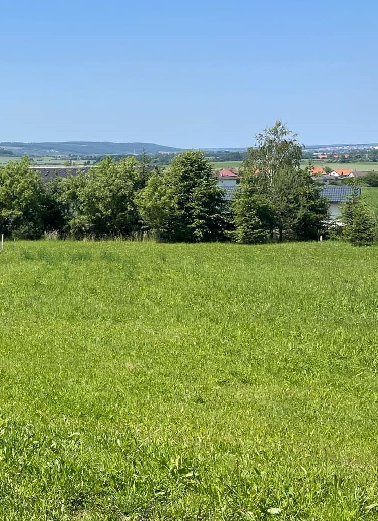Pozemky pro bydlení, Petkovy, 1 580 m² - 1