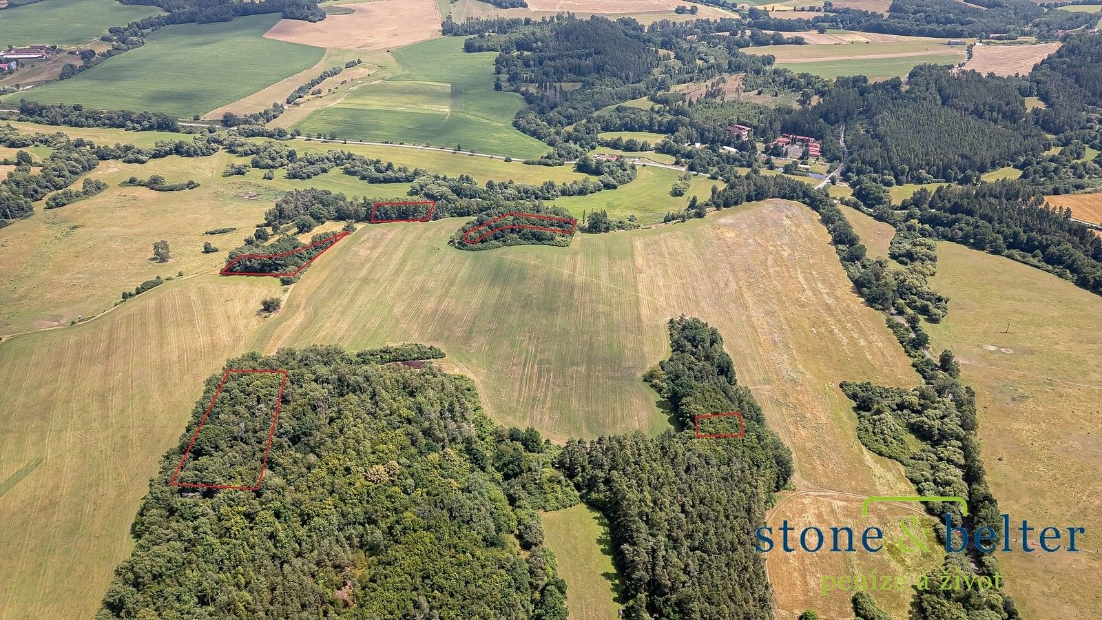 Les · Zvěstov, okres Benešov, Středočeský kraj - 3