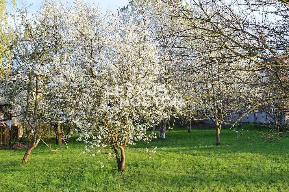Pozemek pro bydlení · Praha - Ďáblice, okres Praha 8, Hlavní město Praha - 3