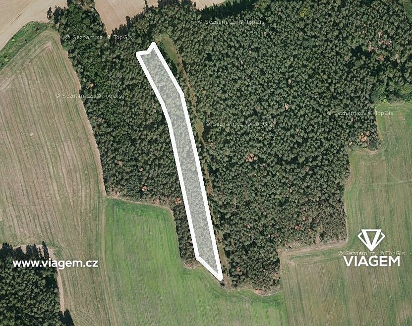 Prodej les - Koloveč, okres Domažlice, Plzeňský kraj - 2