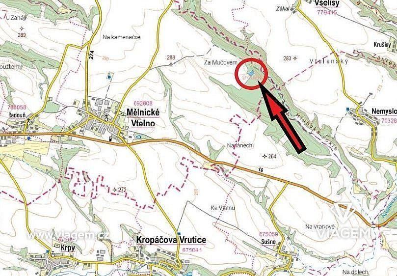 Les · Mělnické Vtelno, okres Mělník, Středočeský kraj - 4