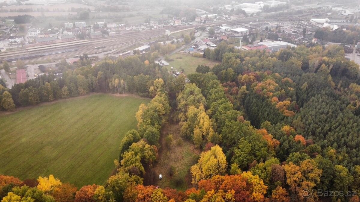 Prodej pozemek pro bydlení - Borkovice, 391 81