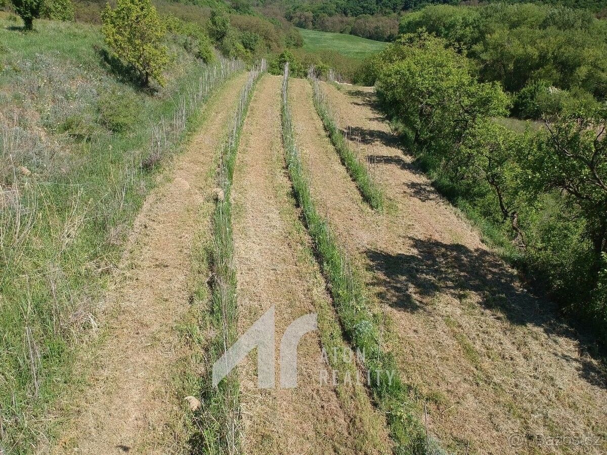 Pozemek pro bydlení · Křepice u Hustopečí, 691 65 - 3