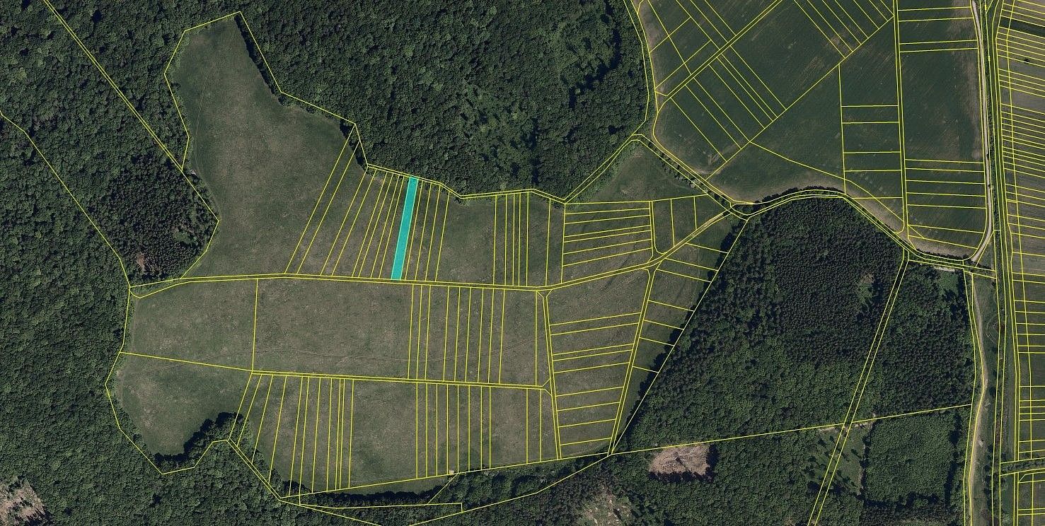 Prodej zemědělský pozemek - Kuželov, okres Hodonín, Jihomoravský kraj - 5