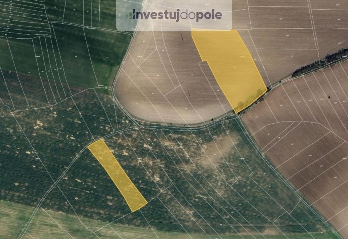 Prodej zemědělský pozemek - Zaječice, 538 35, 2 412 m²