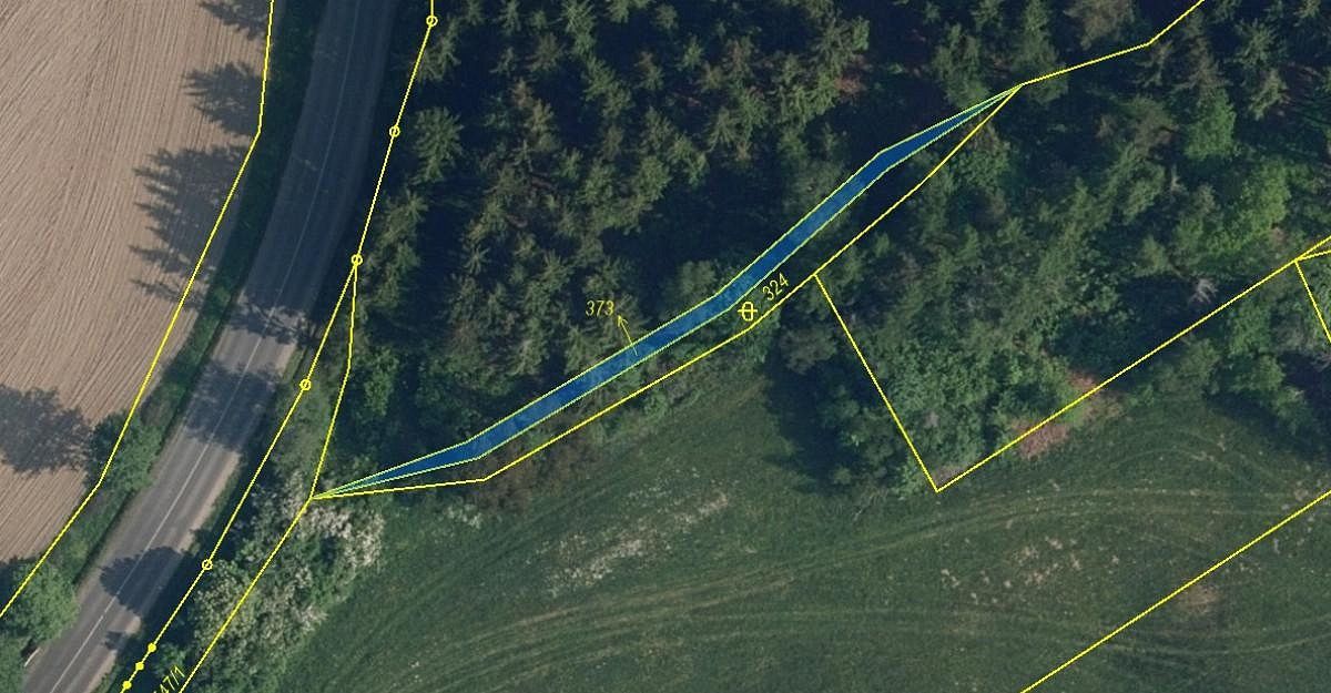 Lesy, Dalešice - Potok, okres Jablonec nad Nisou, Liberecký kraj - 2