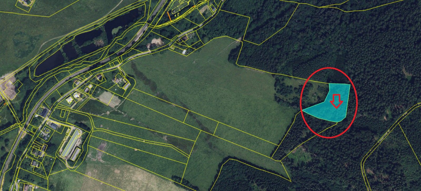 Prodej les - Červená Voda, okres Ústí nad Orlicí, Pardubický kraj - 2
