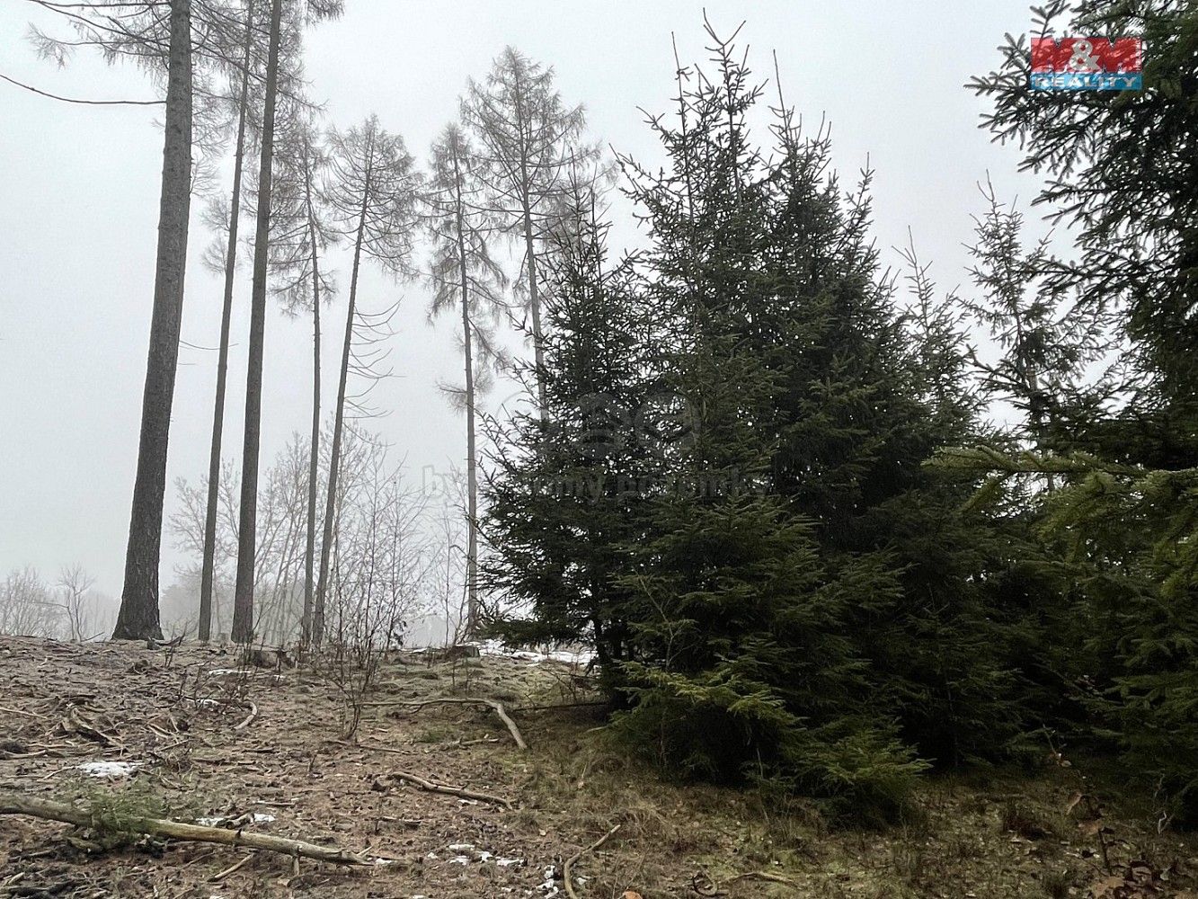 Lesy, Ratibořské Hory - Vřesce, okres Tábor, Jihočeský kraj - 1