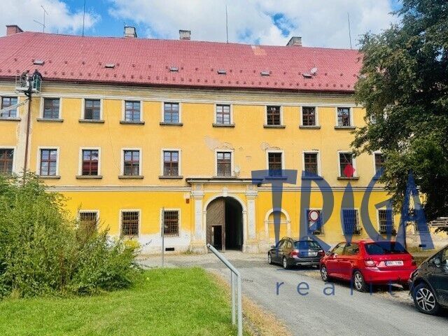 5+kk, Riegrovo náměstí, Jaroměř, 179 m²