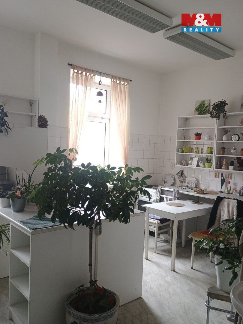 Obchodní prostory · 270 m² · Teplická, Děčín - 3