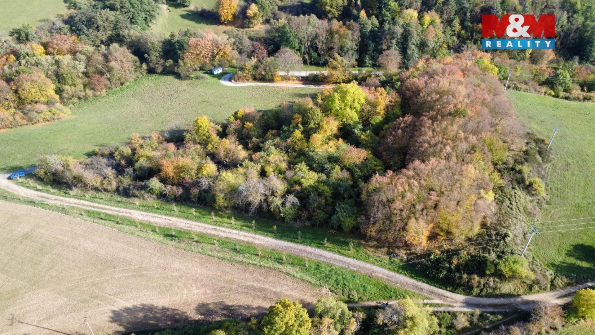 Prodej zemědělský pozemek - Milešov