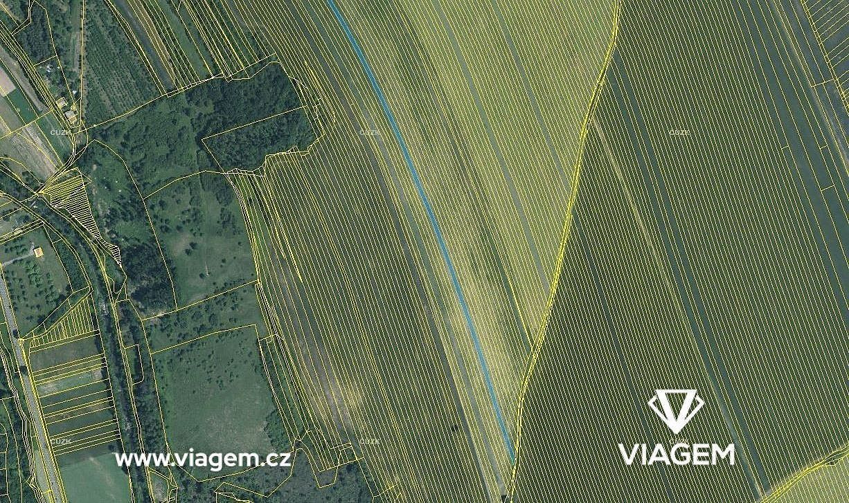 Prodej zemědělský pozemek - Velká nad Veličkou, okres Hodonín, Jihomoravský kraj - 1