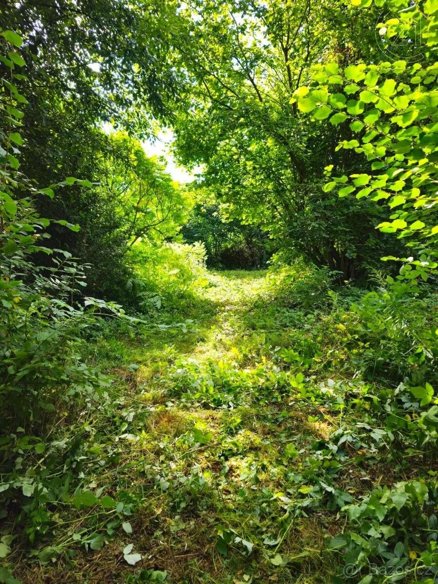 Pozemky pro bydlení, Senohraby, 251 66