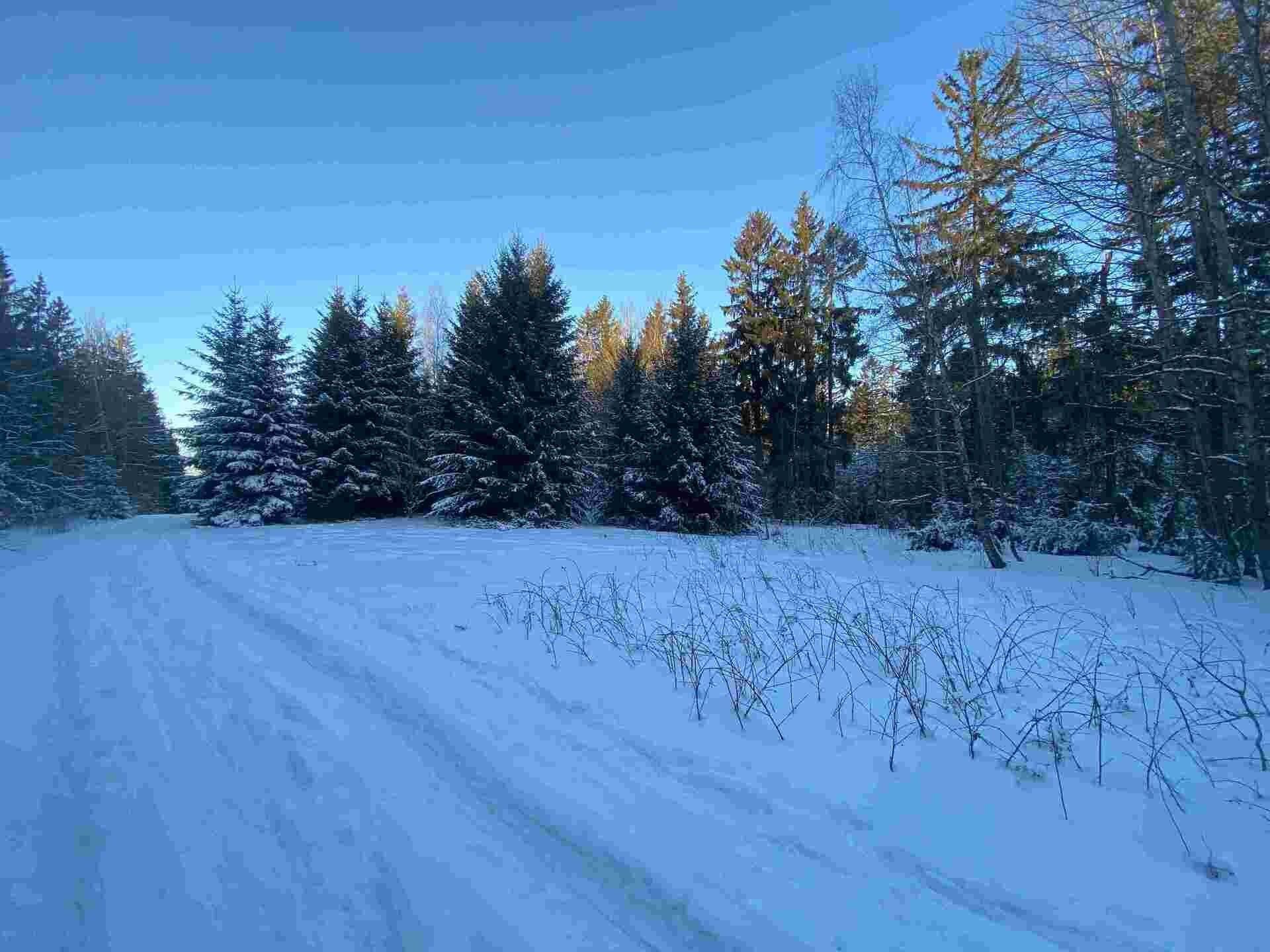Pozemek · 1 080 m² · Frýdštejn - 3