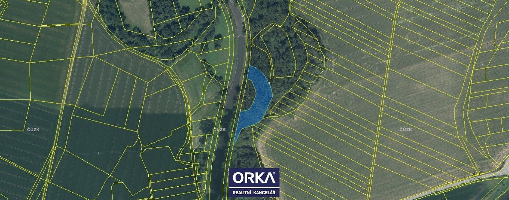 Les · Tovačov - Tovačov I-Město, okres Přerov, Olomoucký kraj - 4