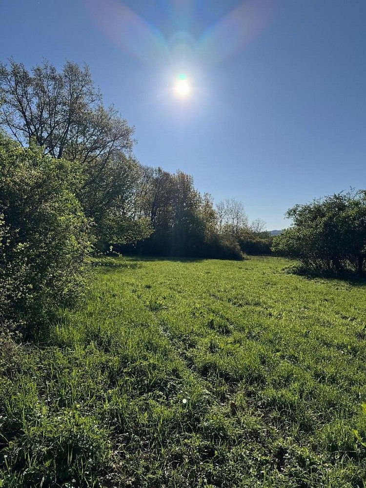 Ostatní, Nýřany, okres Plzeň-sever, Plzeňský kraj - 1