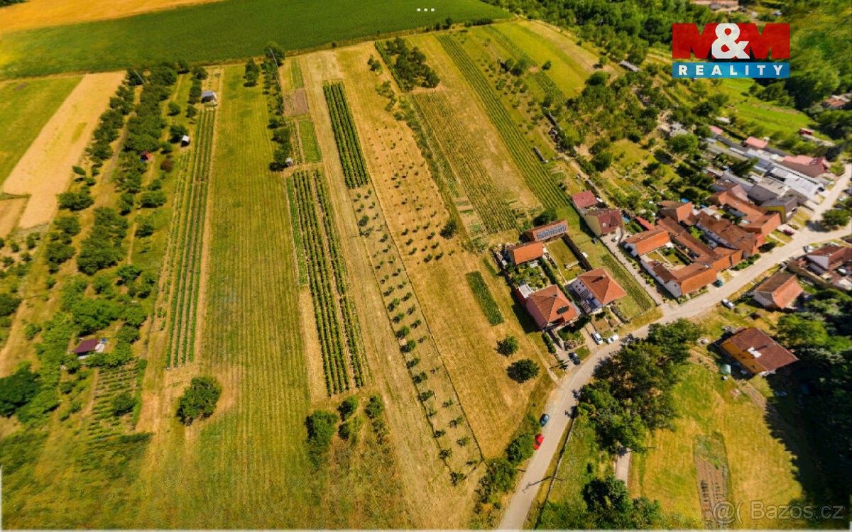 Prodej pozemek pro bydlení - Borkovany, 691 75