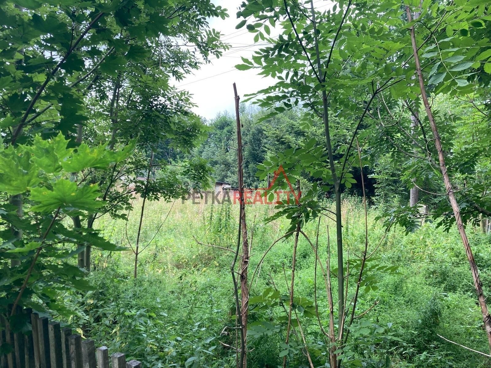 Pozemek pro bydlení · 829 m² · Jindřichovice pod Smrkem - 4