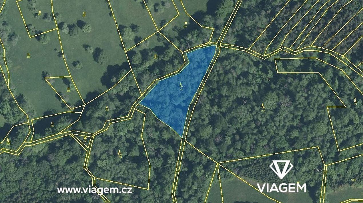 Les · Luhačovice, okres Zlín, Zlínský kraj - 4