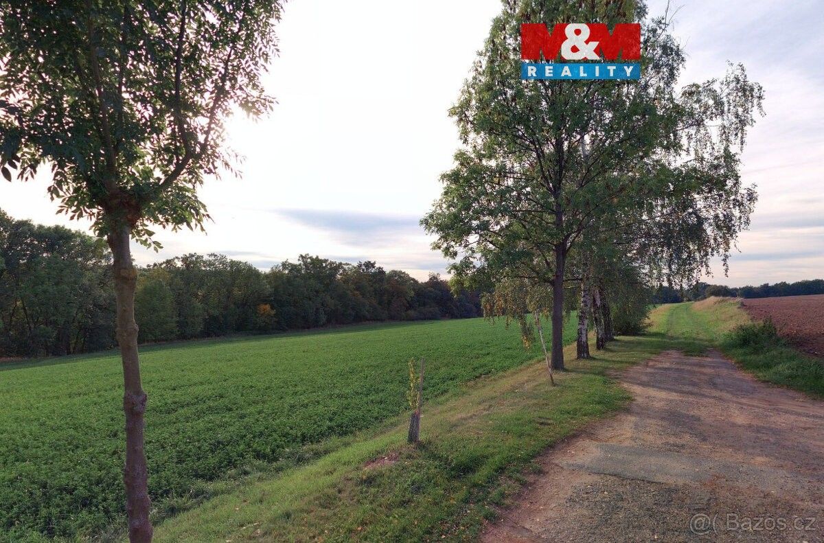 Pozemky pro bydlení, Čáslav, 286 01