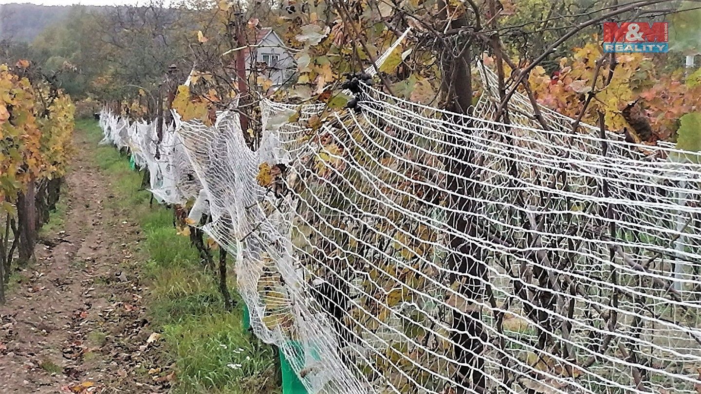 Prodej zemědělský pozemek - Břeclav, Jihomoravský kraj - 5