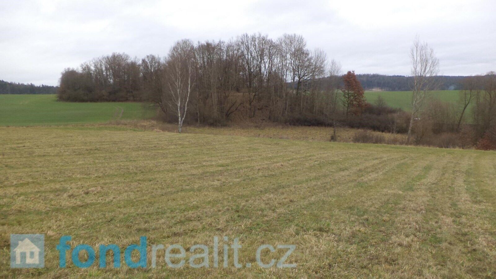Prodej zemědělský pozemek - Srby, 12 056 m² - 5
