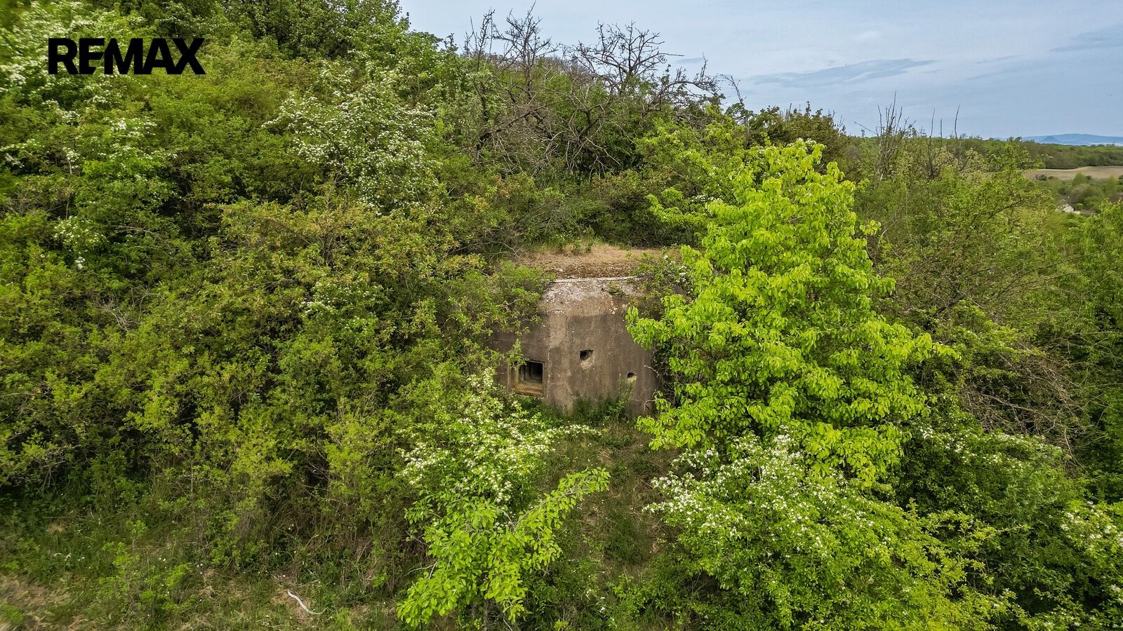 Pozemek · 7 734 m² · Holedeč - 3