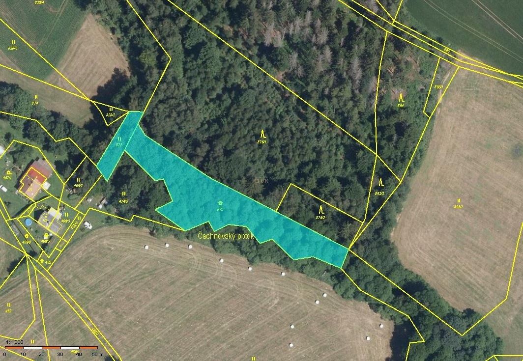 Lesy, Pustá Kamenice