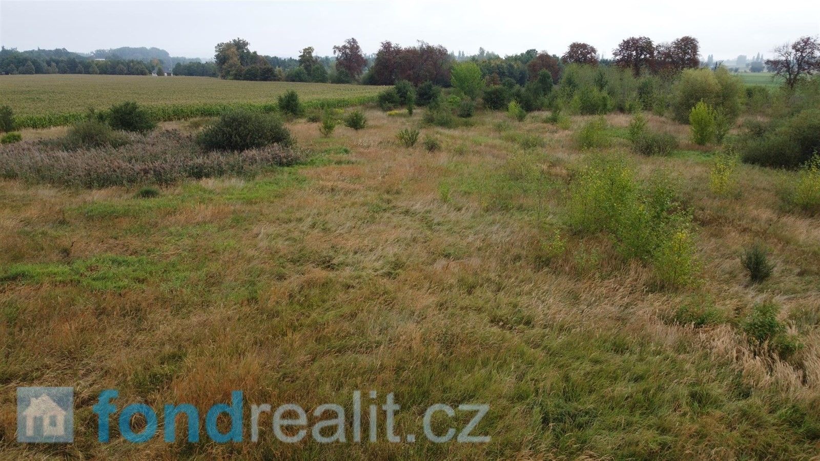 Prodej pozemek - Česko, 12 858 m²