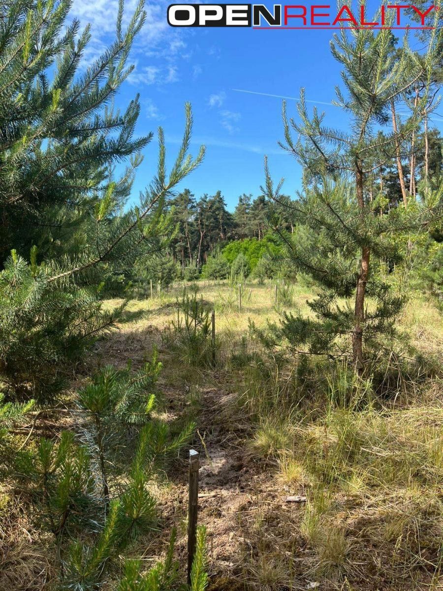 Lesy, Vracov, 8 713 m² - 2