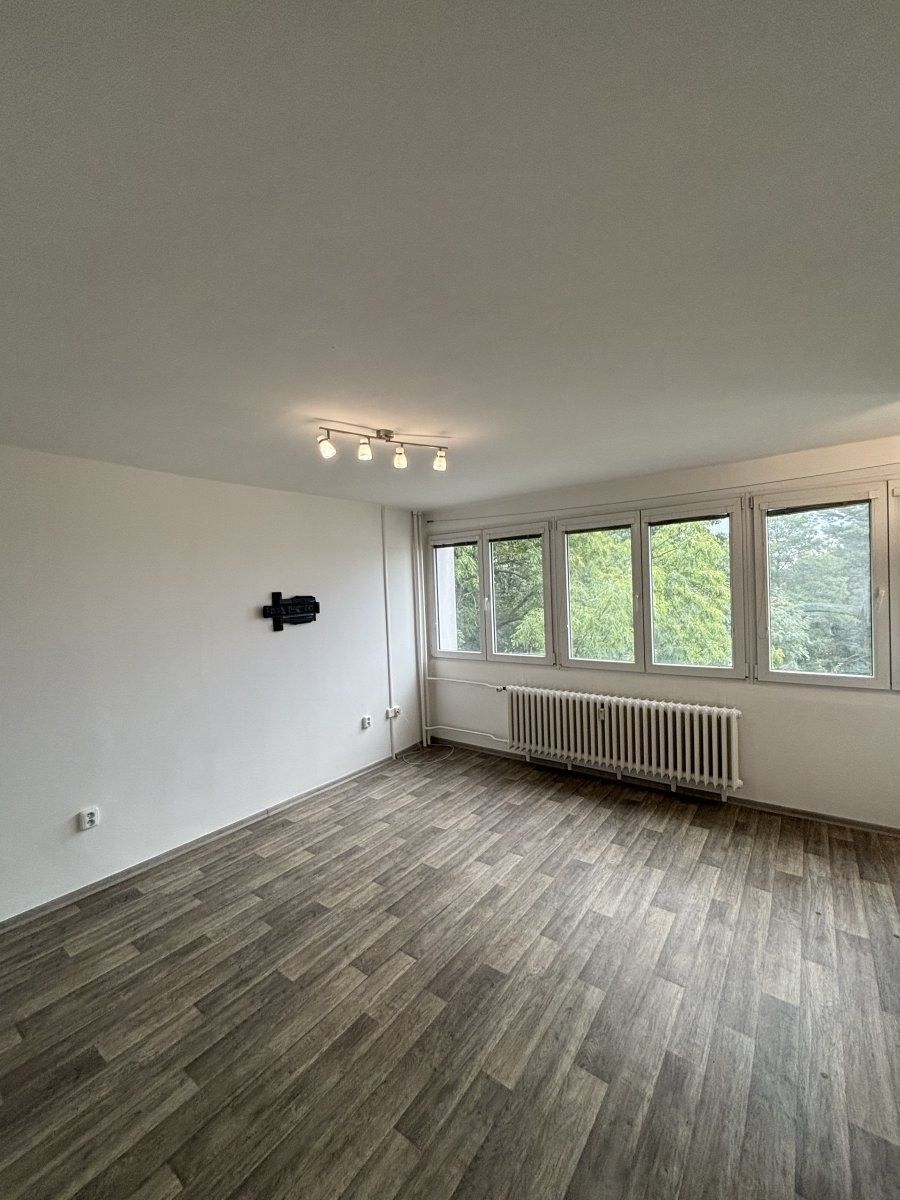 1+kk, Severní, Hradec Králové, 28 m² - 2