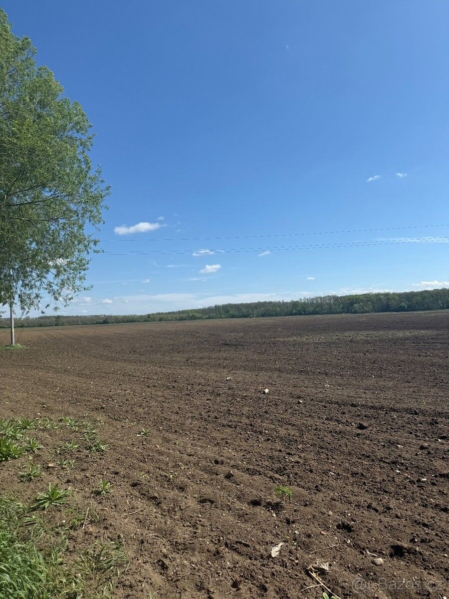 Prodej pozemek pro bydlení - Kostice u Břeclavě, 691 52