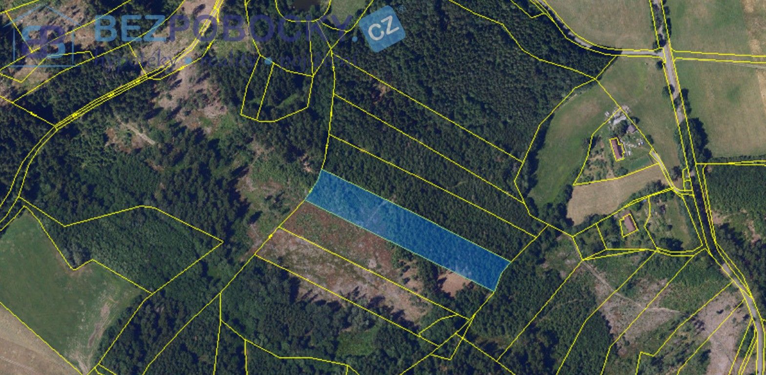 Lesy, Vysočina, 26 m²