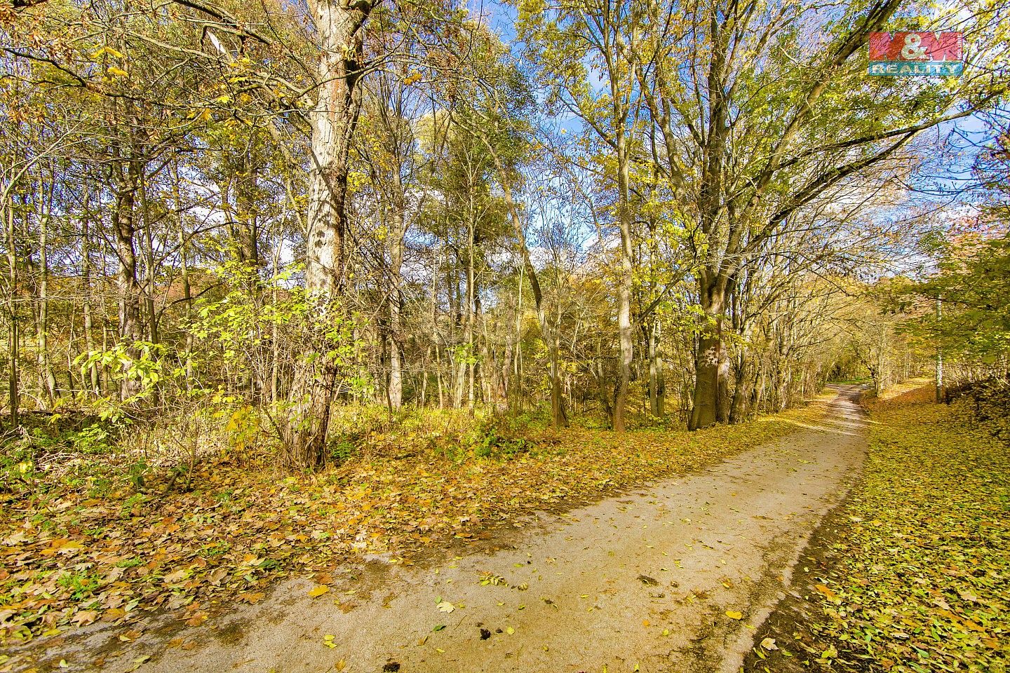 Prodej louka - Konstantinovy Lázně - Dlouhé Hradiště, okres Tachov, Plzeňský kraj - 5