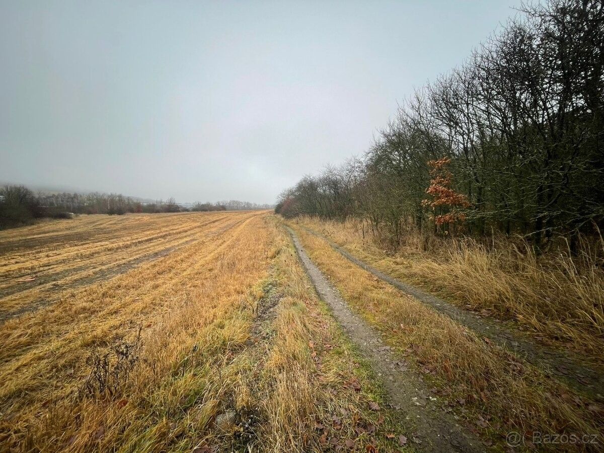 Prodej pozemek pro bydlení - Cerhovice, 267 61