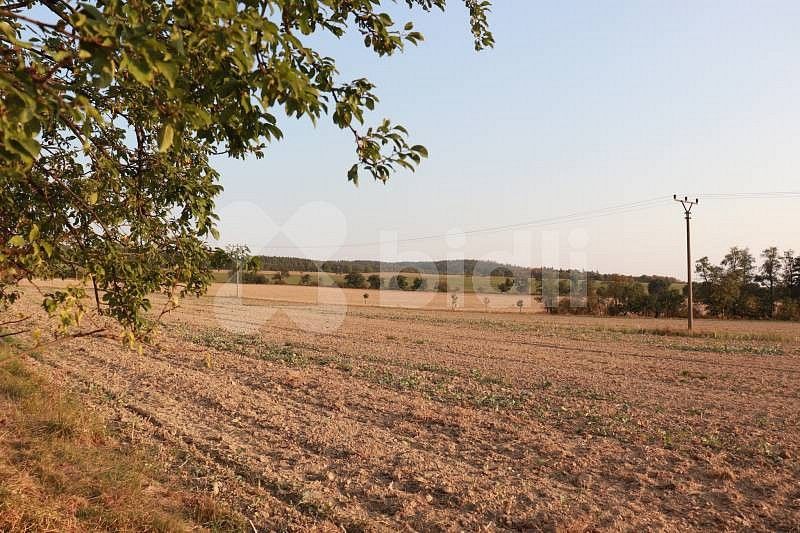Zemědělské pozemky, Bělkovice-Lašťany, okres Olomouc, Olomoucký kraj - 2