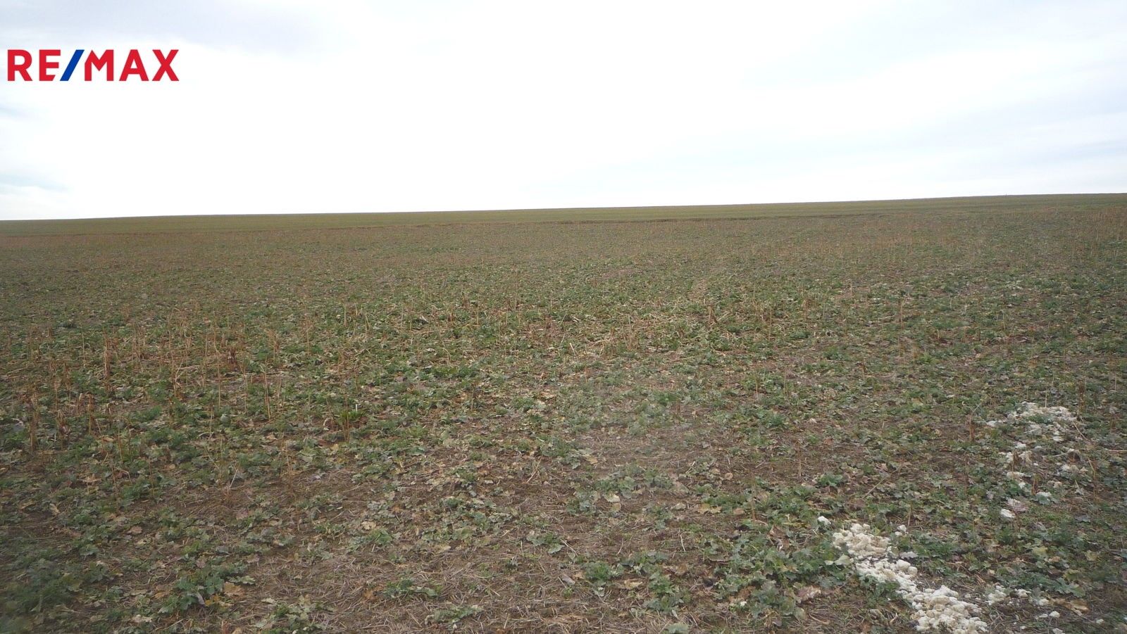 Prodej pozemek pro bydlení - Pavlíkov, 895 m²