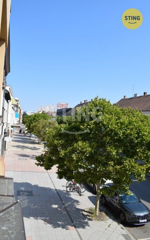 Obchodní prostory · 401 m² · Národní třída, Hodonín - 3
